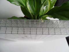 四層陽光板（10mm透明）